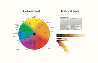 Hair color chart Permanent