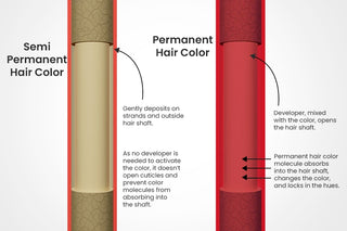 Difference - Semi Permanent & Permanent hair color