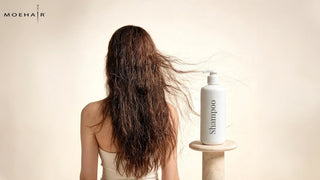 Best Shampoo for Dry and Damaged Hair: What to Look For