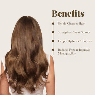 Pack of Protein Infused Shampoo and Conditioner with Thermal Shield & Leave-In Conditioner Moehair USA