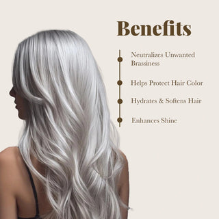 Color Infuse Silver and Color Alive Shampoo Combo Moehair USA