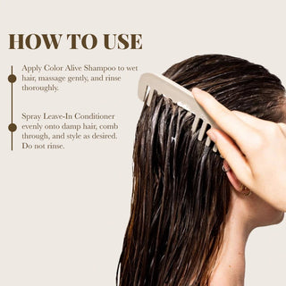 Color Alive Shampoo & Leave-in Conditioner Combo Moehair USA