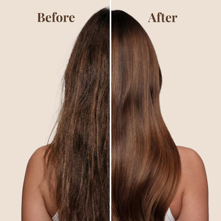 Color Alive Shampoo and Conditioner with Leave in Conditioner & Thermal Shield Travel Kit Moehair USA