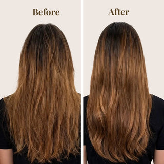 Color Alive Shampoo and Conditioner with Hair Serum & Leave In Conditioner Travel Kit Moehair USA