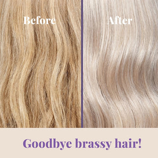 Moehair Color Infuse Silver Toner Moehair USA