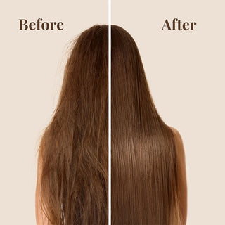 Protein-Infused Shampoo, Conditioner with Leave-in Conditioner and Hair Serum Travel Kit Moehair USA