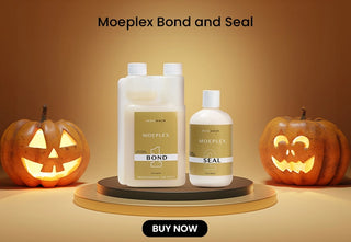 Moeplex Bond & Seal - Hair Treatment for halloween