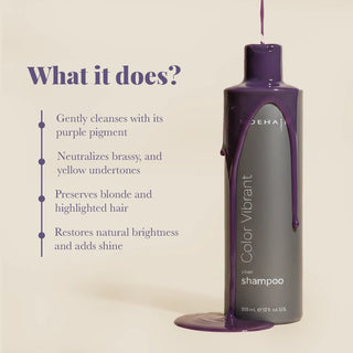 Moehair Color Vibrant Silver Shampoo Moehair USA