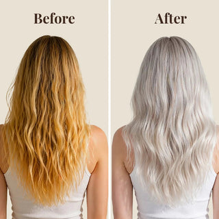 Moehair Color Vibrant Silver Shampoo Moehair USA